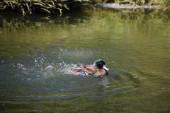 IMG_0780