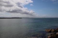 IMG_1481