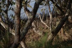 IMG_1551