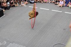 IMG_6746