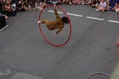 IMG_6747