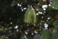 IMG_7060