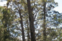 IMG_0500