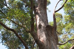IMG_0502