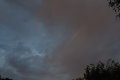 IMG_0594