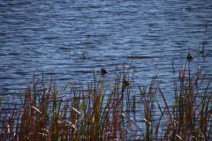 IMG_0744