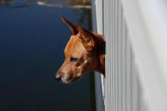IMG_0792