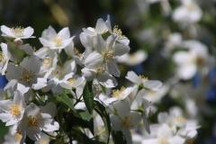 IMG_8587