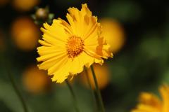 IMG_8691