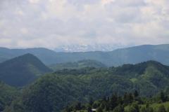 IMG_8900