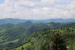 IMG_8908