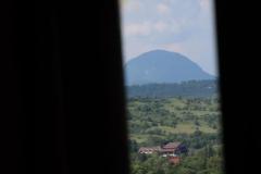 IMG_8951