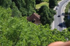 IMG_8981
