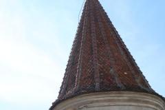 IMG_9010