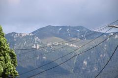 IMG_9066