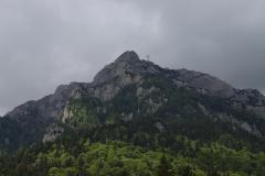 IMG_9145