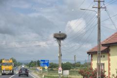 20260607_101919