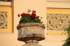 IMG_9555