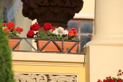 IMG_9558