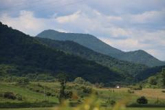 IMG_9607