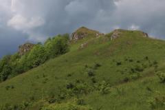IMG_9655