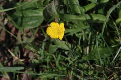 IMG_9701