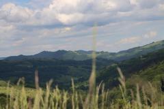 IMG_9753