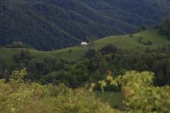 IMG_9865