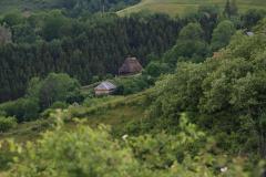 IMG_9887