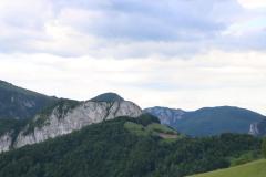 IMG_9914