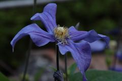 IMG_0026