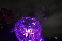 20260621_185202