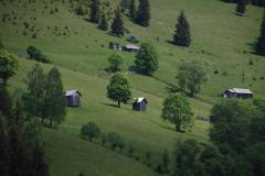 IMG_0188