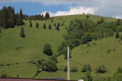 IMG_0152
