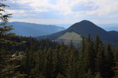 IMG_0271