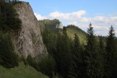 IMG_0301