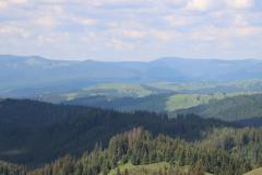 IMG_0443