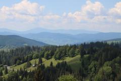 IMG_0445