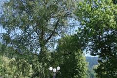 IMG_0457