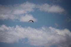 IMG_8866