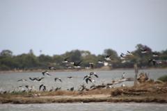 IMG_3371