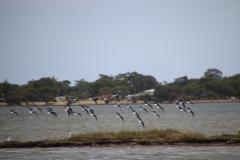 IMG_3373