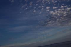 IMG_1911