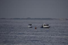 IMG_1981