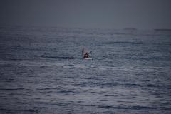 IMG_1983