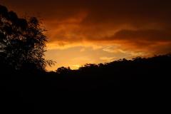 IMG_7533