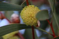 IMG_7737