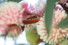 IMG_7850