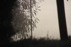 IMG_7970