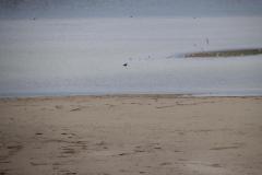 IMG_8108